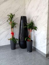E-centre @ Redhill (D3), Factory #557134131